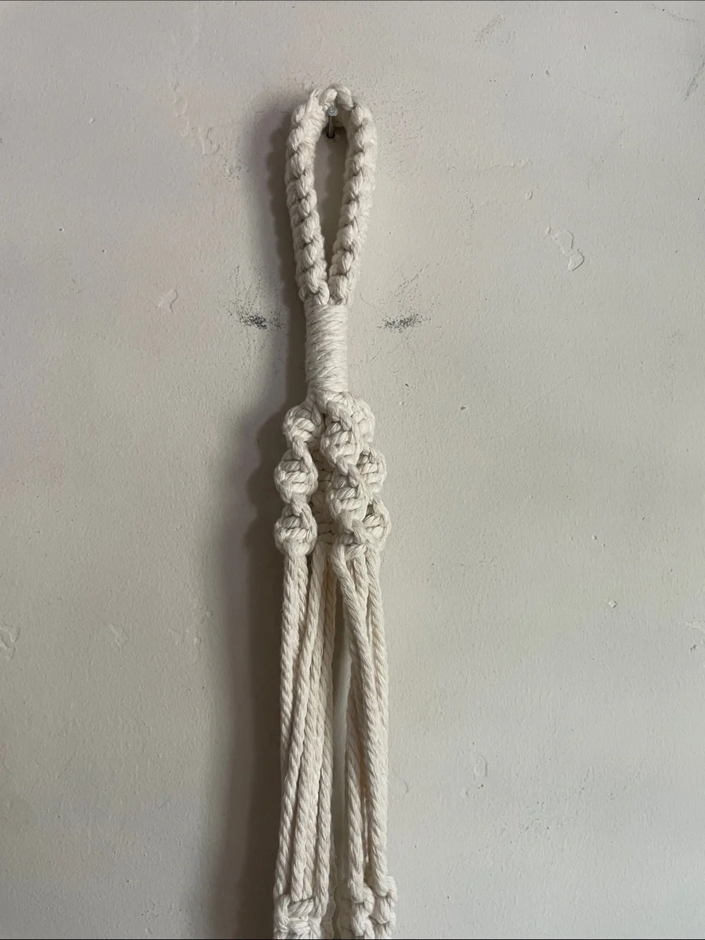 •| macrame plant holder - Picture 3 of 7
